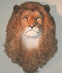 African Lion Head Jr. - Artwork by Anne Andersson