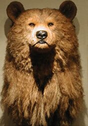 Grizzly Bear - Artwork by Anne Andersson