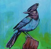 "High Country Dweller" - Avian Artwork by Johnathan Harris