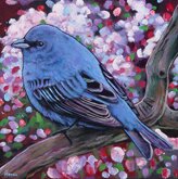 "Indigo Bunting" - Bird Artwork by Johnathan Harris