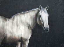 Horse Art by Kathleen Kinkopf, A Featured Artist at the Lanning Gallery [Sedona, Arizona]