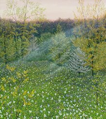 "Spring Evening" - Landscape Oil Painting by Gerald C Moore