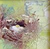 "Bird Nest and Foliage #2" - Oil Painting by Cynthia Reid