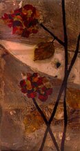 "Hydrangea Petals in the Woods A & B" - Artwork by Gail Taylor