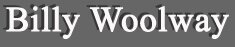 Billy Woolway - A featured artist at the Lanning Gallery [Sedona Arizona]
