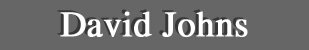 David Johns - A featured artist at the Lanning Gallery [Sedona Arizona]
