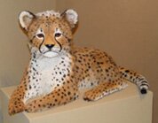 Nuborn Cheetah - Artwork by Anne Andersson