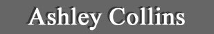 Ashley Collins - A featured artist at the Lanning Gallery [Sedona Arizona]