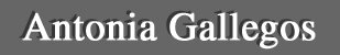 Antonia Gallegos - A Featured Artist of the Lanning Gallery [Sedona Arizona]