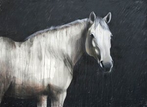 "Equus Caballus" - Horse Artwork by Kathleen Kinkopf