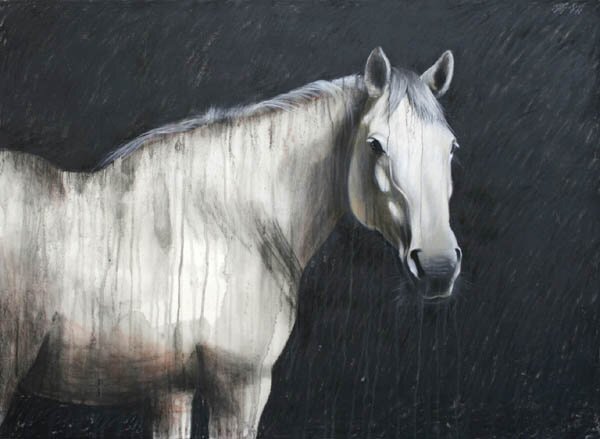 "Equus Caballus" - Horse Artwork by Kathleen Kinkopf