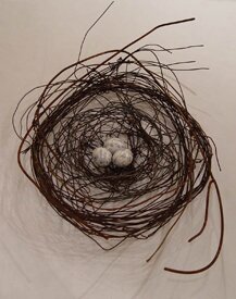 Nest "927" - Bird Nest Sculpture by Phil Lichtenhan