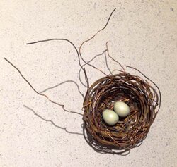 Nest "X-96" - Bird Nest and Ceramic Egg Art by Phil Lichtenhan