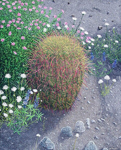 "Springtime Barrel" - Southwestern Cactus Art by Gerald C Moore