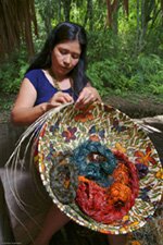 Rainforest Baskets