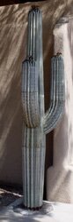 "7 ft Saguaro, 2 Arms" - Metal & Steel Sculpture by Eric Richard Cactus