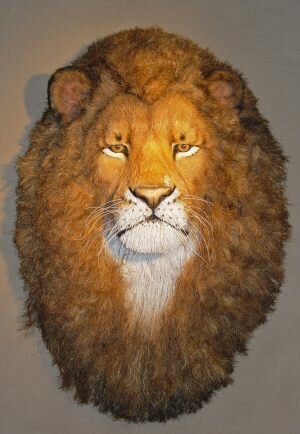 Anne-Andersson-Lion-Head