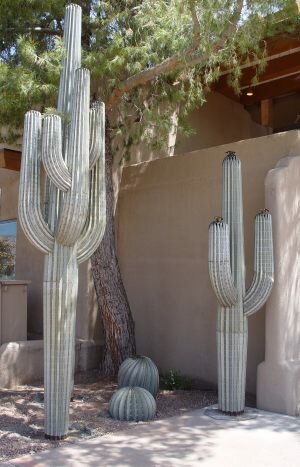 Eric-Richard-14ft-saguaro-9ft-barrels