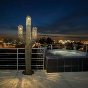 Eric-Richard-lighted-saguaro