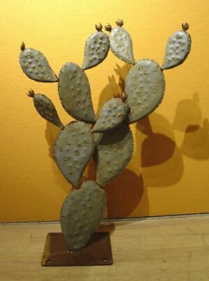 Eric-Richard-small-prickly-pear