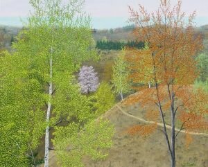 Gerald-Moore-GM83-Above-the-Lake-Spring