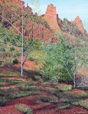 Gerald-Moore-GM86-Spring-View-Sedona