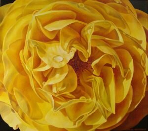 Leslie-Montana-LM1-Yellow-Rose