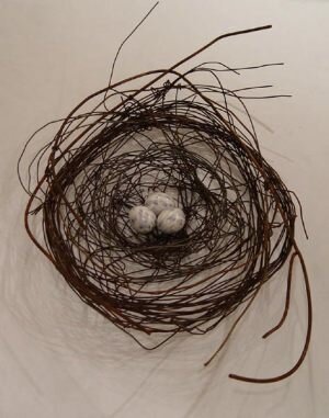 Nest-927-600pix