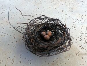 Phil-Lichtenhan-PL41-Nest-X-87