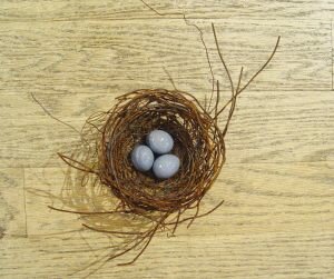 Phil-Lichtenhan-PL46-Nest-x66