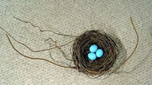 Phil-Lichtenhan-PL50-Nest-1115