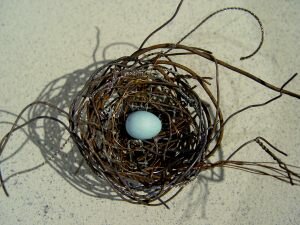 Phil-Lichtenhan-PL51-Nest-1125