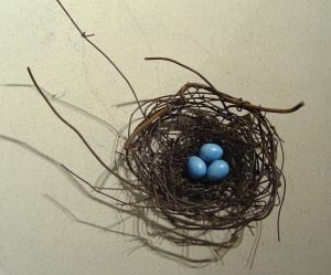 Phil-Lichtenhan-PL54-Nest-1127