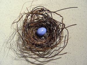 Phil-Lichtenhan-PL55-Nest-1126