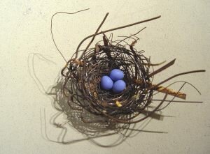 Phil-Lichtenhan-PL56-Nest-1133