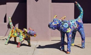 Sun-Dog-Indigo-Dog-900pix