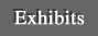 Art Exhibits, Art Events, and Emerging Artists