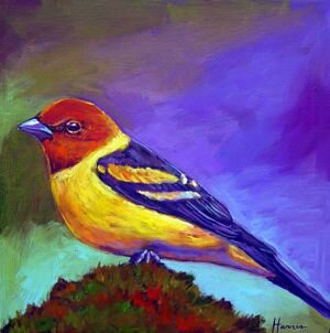 Johnathan-Harris-JHH10-Tanager