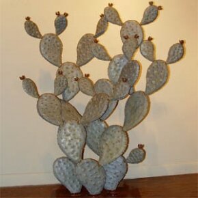 Eric Richard Cactus